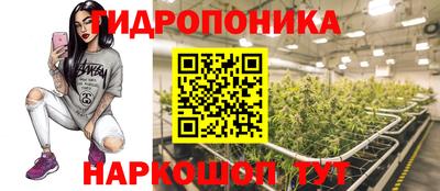 стаф Чапаевск