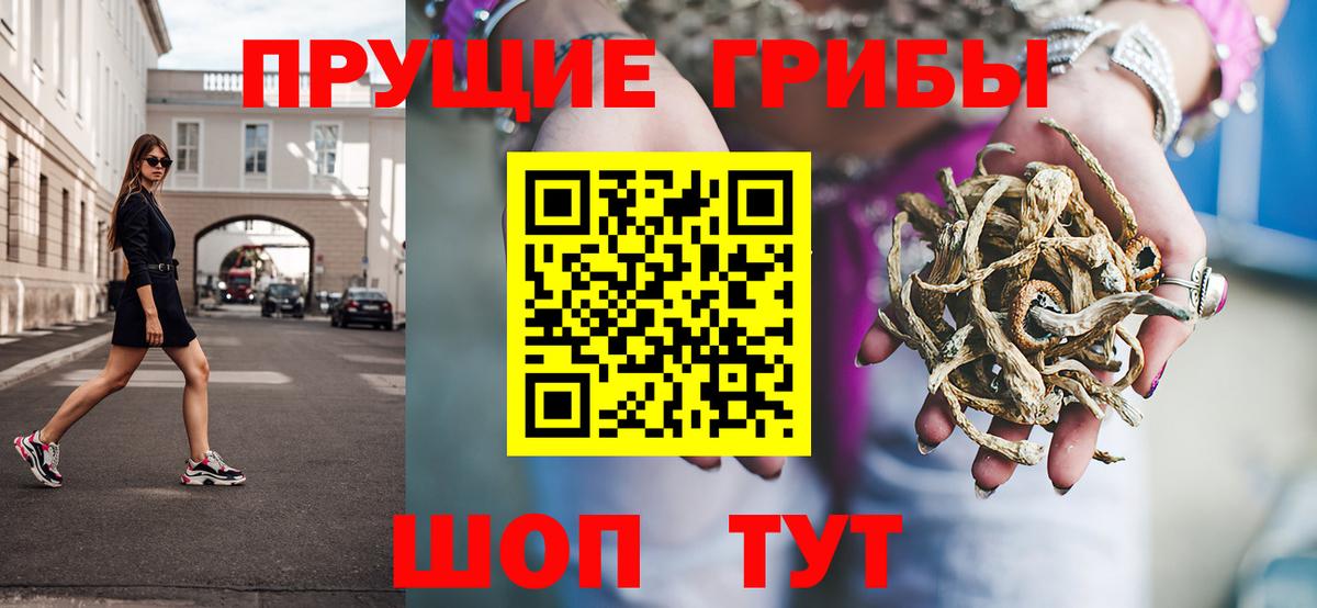 Белогорск  Галлюциногенные грибы Psilocybine cubensis  Вход с VPN  Псилоцибиновые грибы Psilocybe 