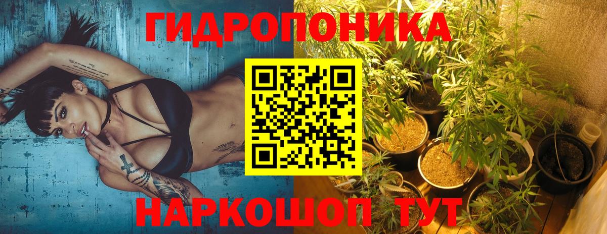 Бошки марихуана VHQ Белогорск